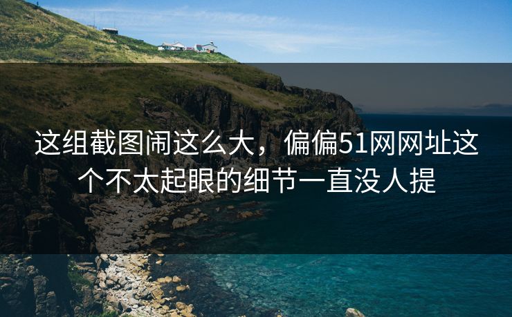 这组截图闹这么大，偏偏51网网址这个不太起眼的细节一直没人提
