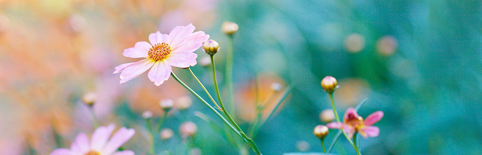 后台修改轮播图标题